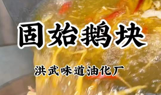 吃地道固始鹅块就来油化厂洪武味道 我们鹅肉选用固始散养280天大白鹅，保证食材的新鲜，郑州美食#郑州油化厂创意园